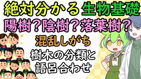 陰樹 陽樹|陰樹と陽樹の違いと代表的な樹木 